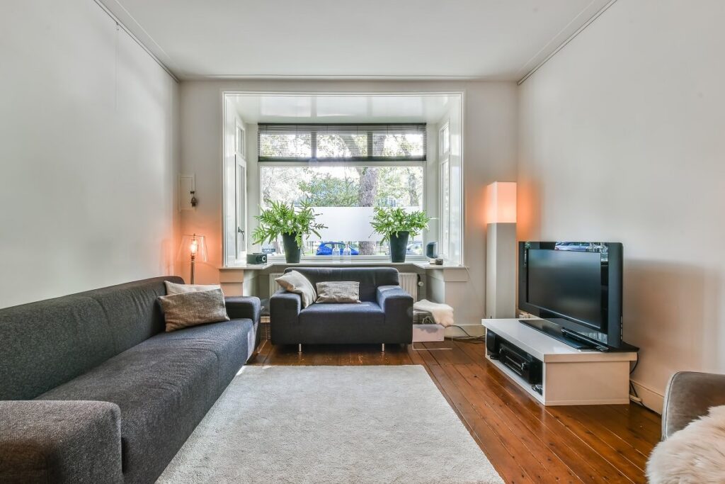 stoppest, stop-pest, ddd, zwalczamy szkodniki, dezynfekcja, dezynsekcja, deratyzacja, likwidacja szkodników, łódź, łódzkie, ozorków, zgierz, łęczyca, kutno, konstantynów, pabianice, zduńska wola, stryków, tomaszów mazowiecki